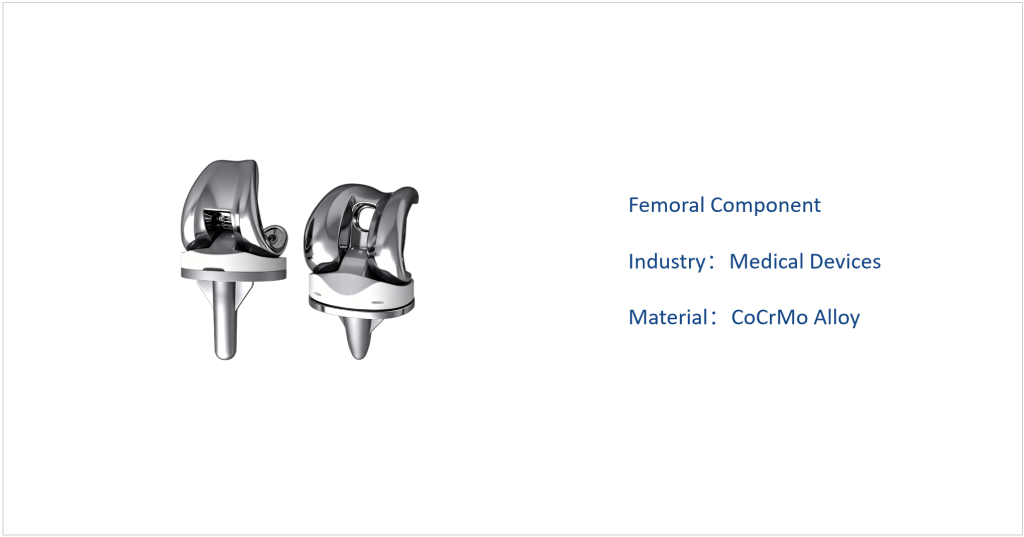 DHW Femoral Component