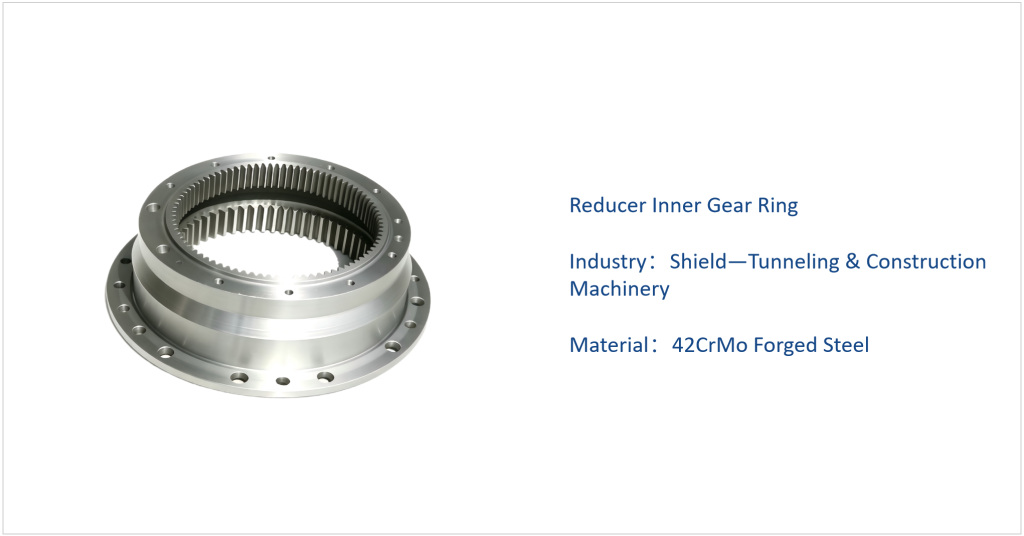 Reducer Inner Gear Ring