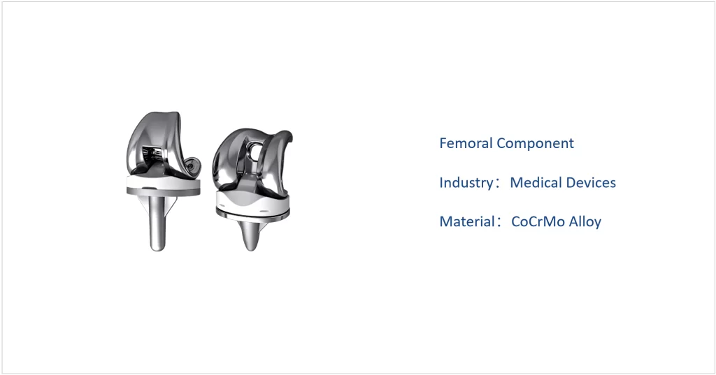 DHW Femoral Component
